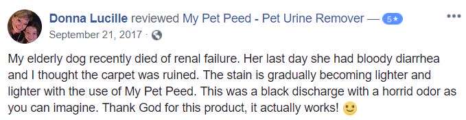  <a href='https://www.mypetpeed.com/review_groups/blood/'>Blood</a>, <a href='https://www.mypetpeed.com/review_groups/carpet/'>Carpet</a>, <a href='https://www.mypetpeed.com/review_groups/diarrhea/'>Diarrhea</a>, <a href='https://www.mypetpeed.com/review_groups/dog/'>Dog</a>, <a href='https://www.mypetpeed.com/review_groups/joe/'>Joe</a>, <a href='https://www.mypetpeed.com/review_groups/odor/'>Odor</a>