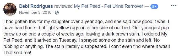  <a href='https://www.mypetpeed.com/review_groups/dog/'>Dog</a>, <a href='https://www.mypetpeed.com/review_groups/easy-to-use/'>Easy to use</a>, <a href='https://www.mypetpeed.com/review_groups/joe/'>Joe</a>, <a href='https://www.mypetpeed.com/review_groups/rug/'>Rug</a>, <a href='https://www.mypetpeed.com/review_groups/stains/'>Stains</a>, <a href='https://www.mypetpeed.com/review_groups/vomit/'>Vomit</a>