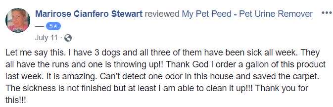  <a href='https://www.mypetpeed.com/review_groups/carpet/'>Carpet</a>, <a href='https://www.mypetpeed.com/review_groups/dog/'>Dog</a>, <a href='https://www.mypetpeed.com/review_groups/feces/'>Feces</a>, <a href='https://www.mypetpeed.com/review_groups/joe/'>Joe</a>, <a href='https://www.mypetpeed.com/review_groups/odor/'>Odor</a>, <a href='https://www.mypetpeed.com/review_groups/urine/'>Urine</a>