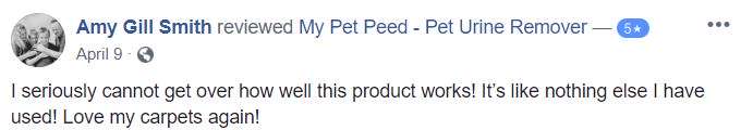  <a href='https://www.mypetpeed.com/review_groups/carpet/'>Carpet</a>, <a href='https://www.mypetpeed.com/review_groups/joe/'>Joe</a>