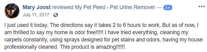  <a href='https://www.mypetpeed.com/review_groups/carpet/'>Carpet</a>, <a href='https://www.mypetpeed.com/review_groups/easy-to-use/'>Easy to use</a>, <a href='https://www.mypetpeed.com/review_groups/joe/'>Joe</a>, <a href='https://www.mypetpeed.com/review_groups/odor/'>Odor</a>, <a href='https://www.mypetpeed.com/review_groups/stains/'>Stains</a>