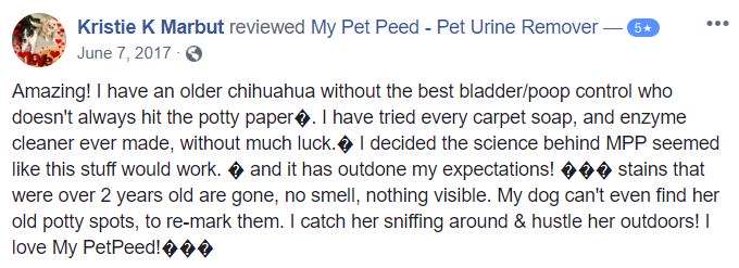  <a href='https://www.mypetpeed.com/review_groups/dog/'>Dog</a>, <a href='https://www.mypetpeed.com/review_groups/feces/'>Feces</a>, <a href='https://www.mypetpeed.com/review_groups/odor/'>Odor</a>, <a href='https://www.mypetpeed.com/review_groups/quit-returning-to-area/'>Quit Returning To Area</a>, <a href='https://www.mypetpeed.com/review_groups/stains/'>Stains</a>, <a href='https://www.mypetpeed.com/review_groups/urine/'>Urine</a>
