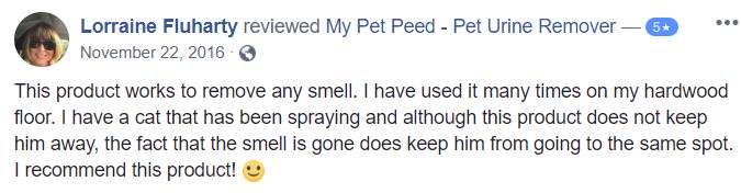  <a href='https://www.mypetpeed.com/review_groups/cat/'>Cat</a>, <a href='https://www.mypetpeed.com/review_groups/cat-spray/'>Cat Spray</a>, <a href='https://www.mypetpeed.com/review_groups/hardwood-floors/'>Hardwood Floors</a>, <a href='https://www.mypetpeed.com/review_groups/joe/'>Joe</a>, <a href='https://www.mypetpeed.com/review_groups/odor/'>Odor</a>, <a href='https://www.mypetpeed.com/review_groups/urine/'>Urine</a>